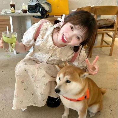 贤伉俪