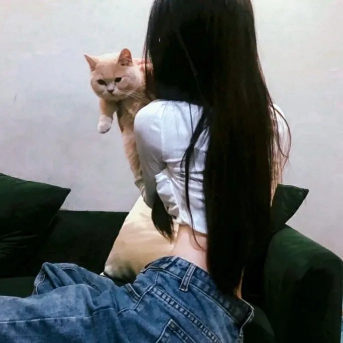 拳的较量
